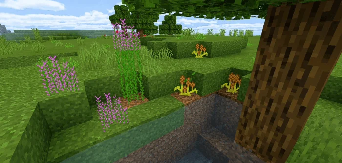 Better Foliage Minecraft screenshot 4