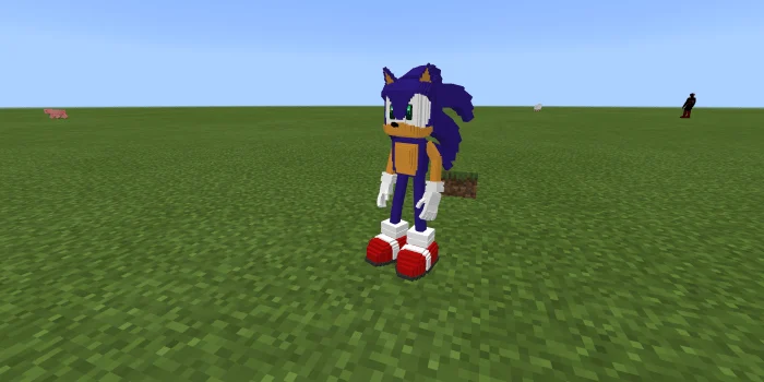 Sonic Adventure Minecraft screenshot 1