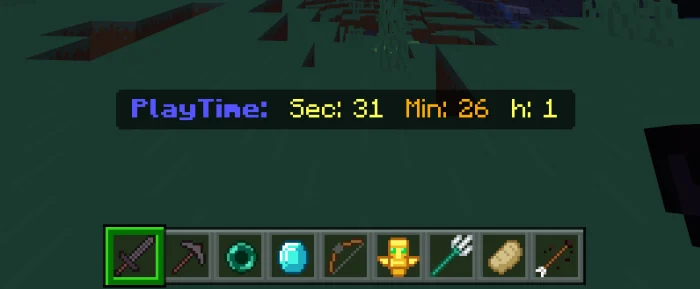 PlayTime Counter Minecraft screenshot 1