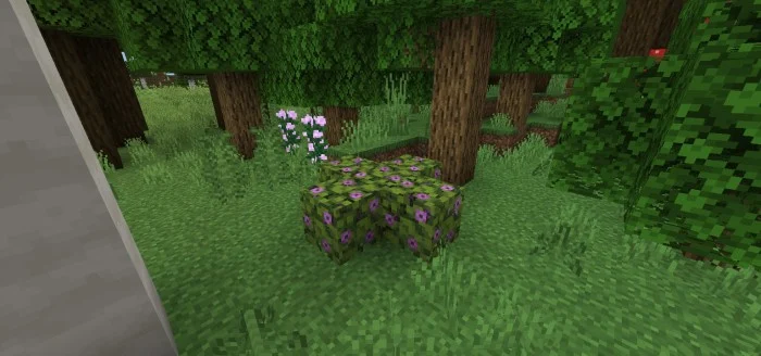 The Wild Environment Minecraft screenshot 3