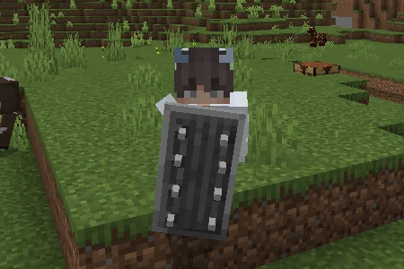 Raiyons More Shields Addon Minecraft screenshot 1
