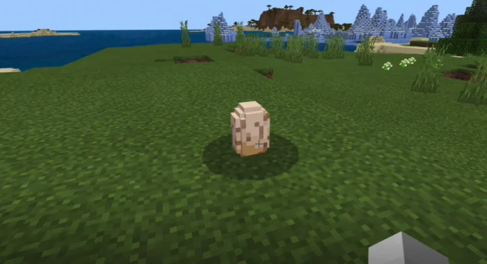Project Mainland Minecraft screenshot 5
