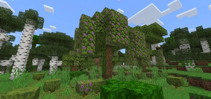 More Tree Variants Minecraft screenshot 4