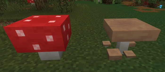 Minecraft Swamp Expansion Minecraft screenshot 1