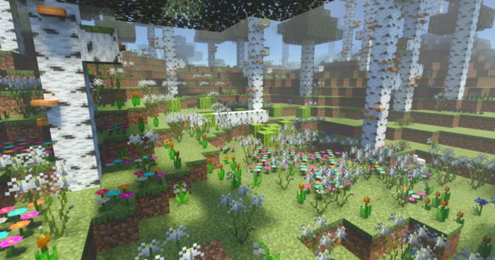 Birch Biome Concept Minecraft screenshot 2