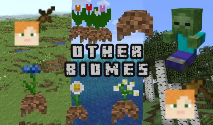 Collectible Hats Minecraft screenshot 3