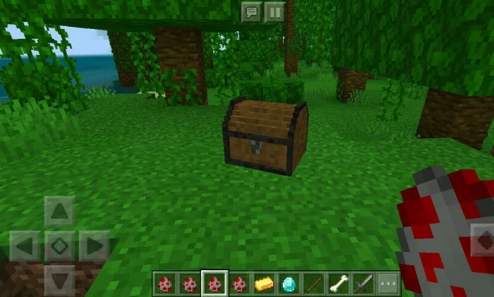 Treasure + Minecraft screenshot 2