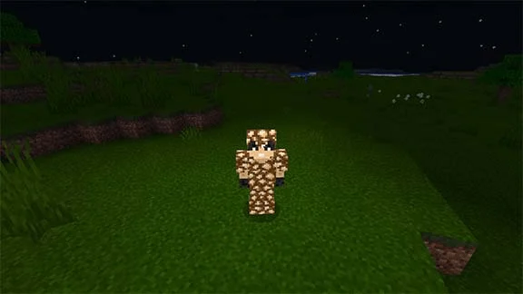 Block Armor Minecraft screenshot 1