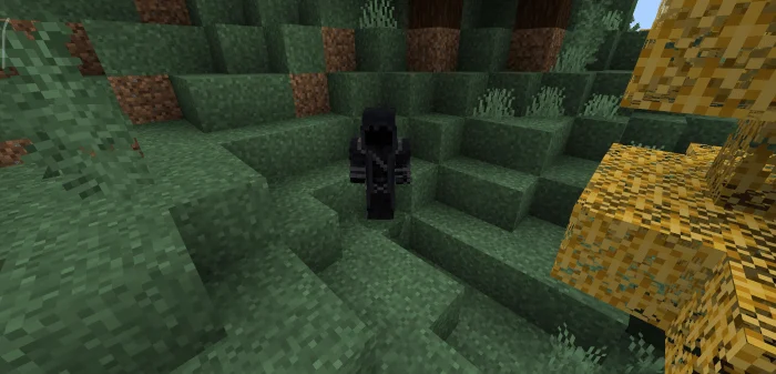 Dark Wizard Boss Minecraft screenshot 1