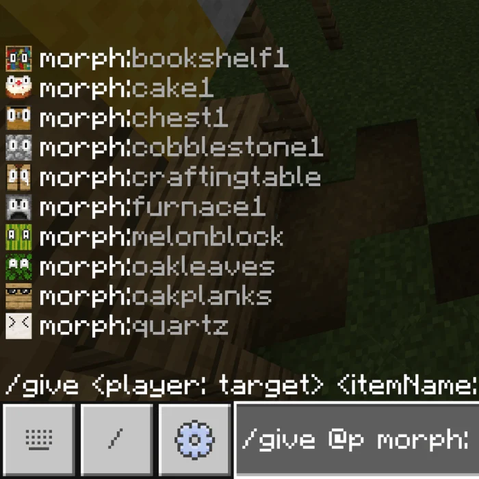 Block Disguise Minecraft screenshot 1