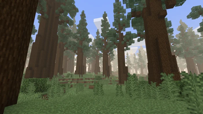 Expansive biomes Minecraft screenshot 4