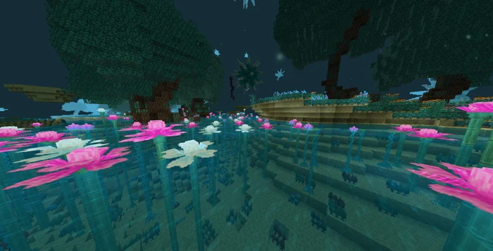 Better End Minecraft screenshot 11