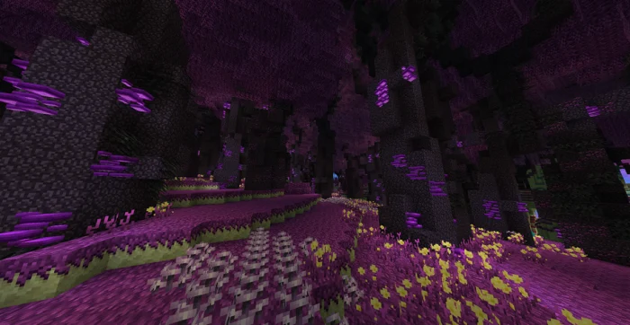 Better End Minecraft screenshot 3