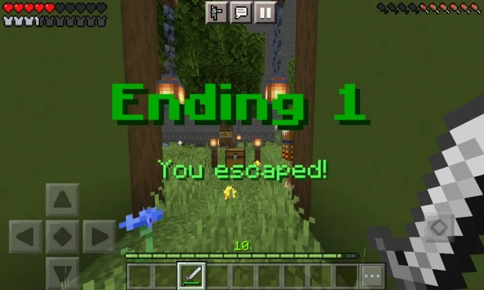 Run Minecraft screenshot 1