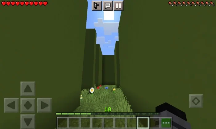 Run Minecraft screenshot 3