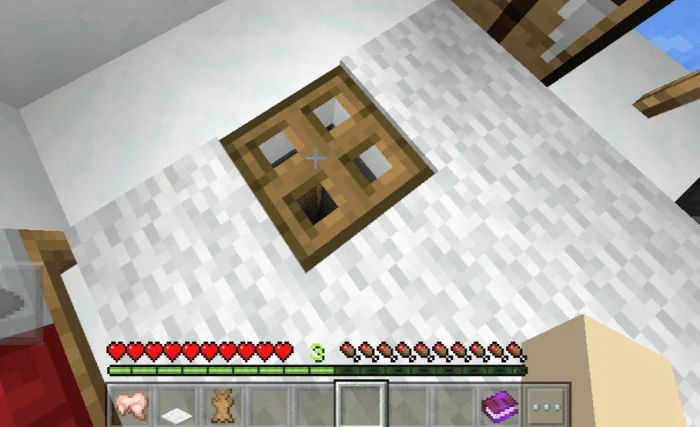 Igloo Block V2 Minecraft screenshot 2