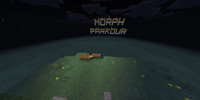 Morph Parkour Minecraft screenshot 2