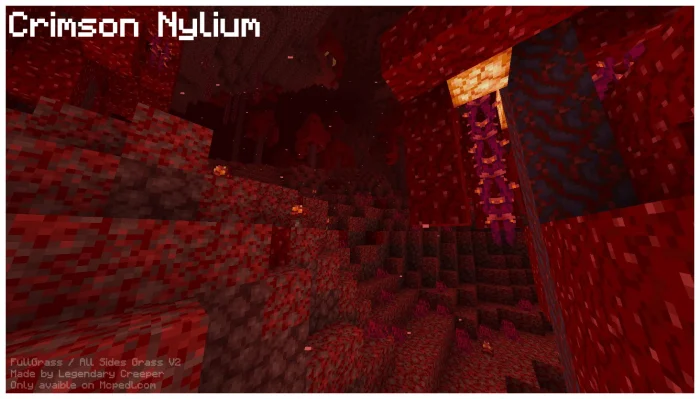 FullGrass Minecraft screenshot 4