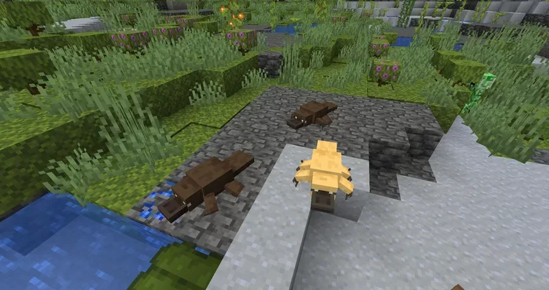 Platypus Axolotl Minecraft screenshot 2