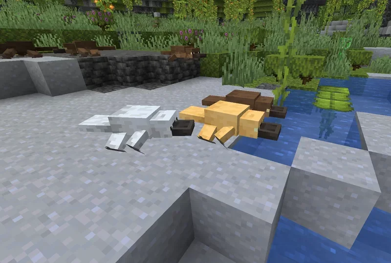 Platypus Axolotl Minecraft screenshot 4