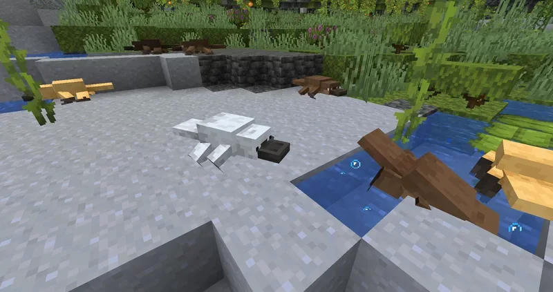 Platypus Axolotl Minecraft screenshot 5