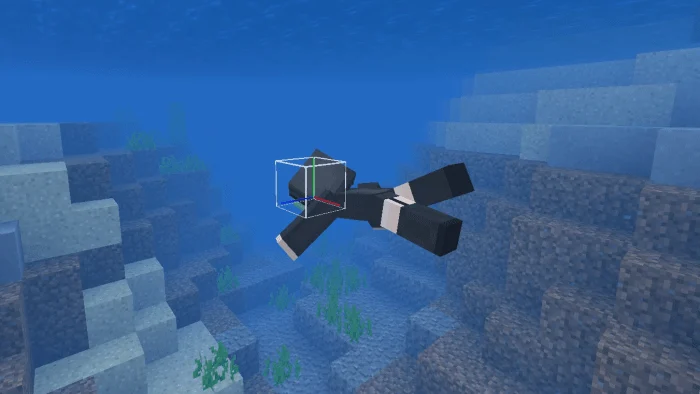 Player Hitbox Display Minecraft screenshot 2