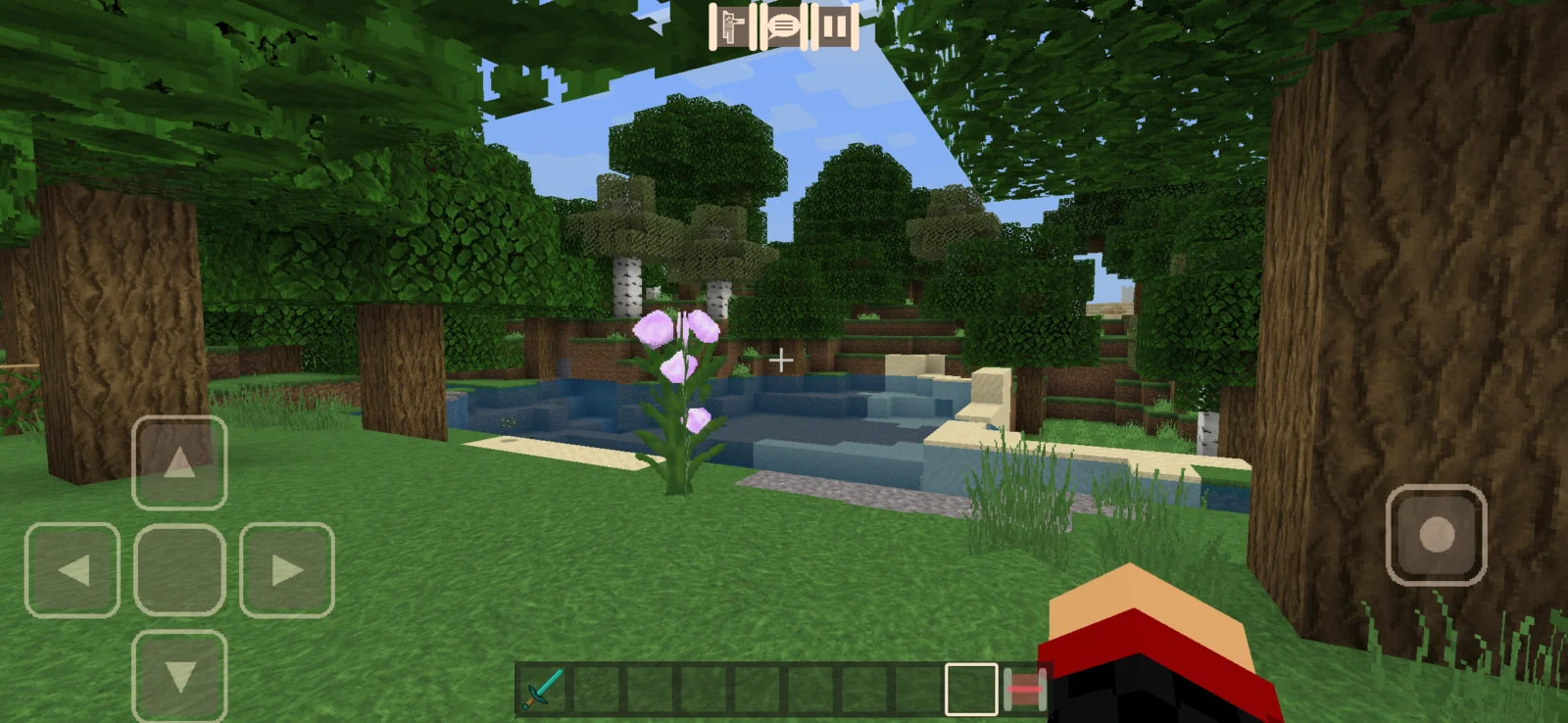 Steven's Traditional Minecraft screenshot 3