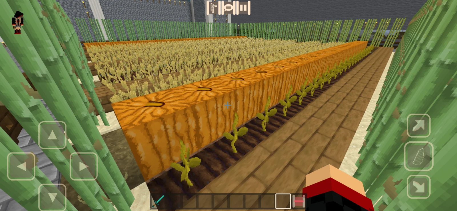 Steven's Traditional Minecraft screenshot 4