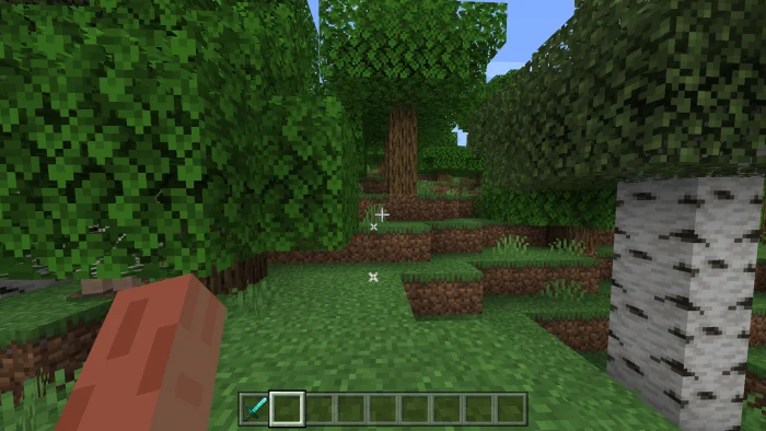 Left Handed Player Minecraft screenshot 1