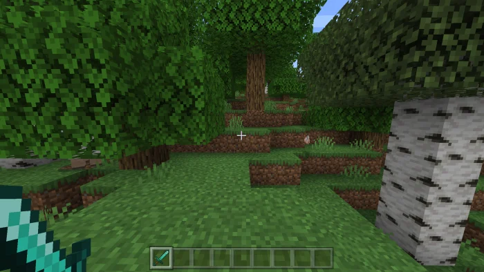 Left Handed Player Minecraft screenshot 2