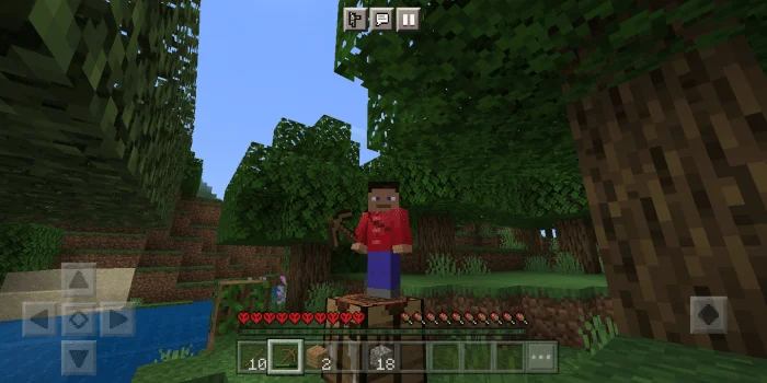 Hardcore Minecraft screenshot 2