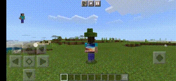 Better Cape and Elytra Minecraft screenshot 5
