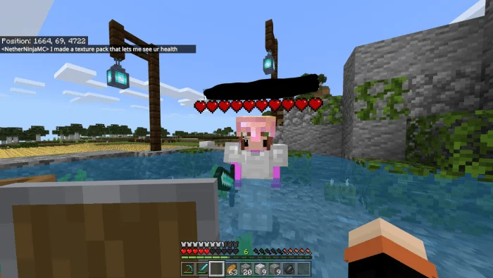 Health Bar Texture Pack (See Other’s Health!) Minecraft screenshot 1