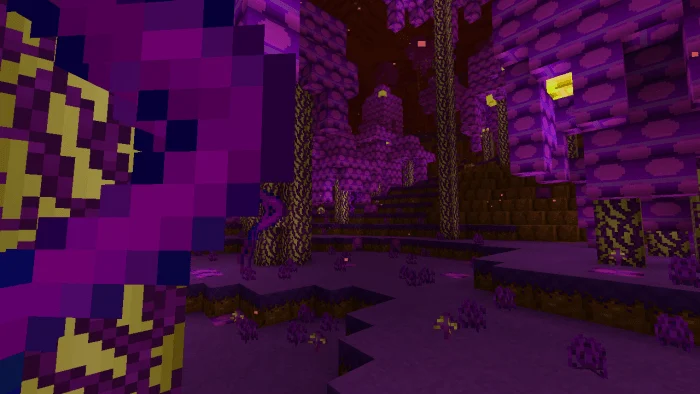 New Super MarioCraft Minecraft screenshot 1