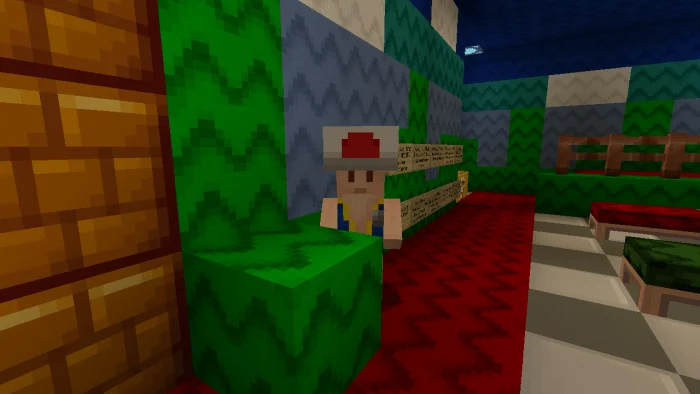 New Super MarioCraft Minecraft screenshot 2