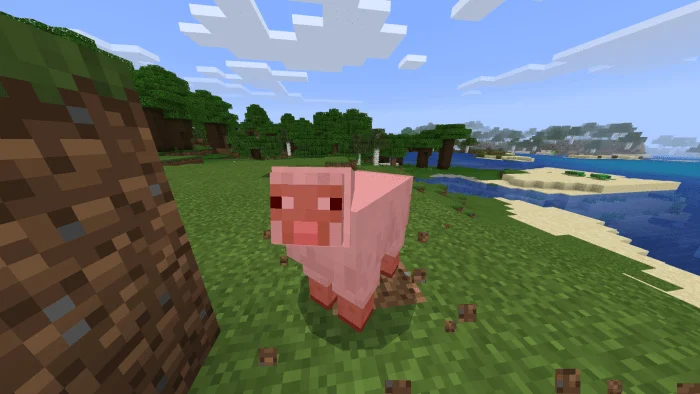 Lukas’ Java Parity Minecraft screenshot 1