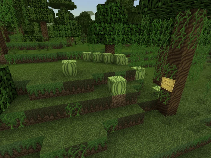 Des Bijoux Minecraft screenshot 1