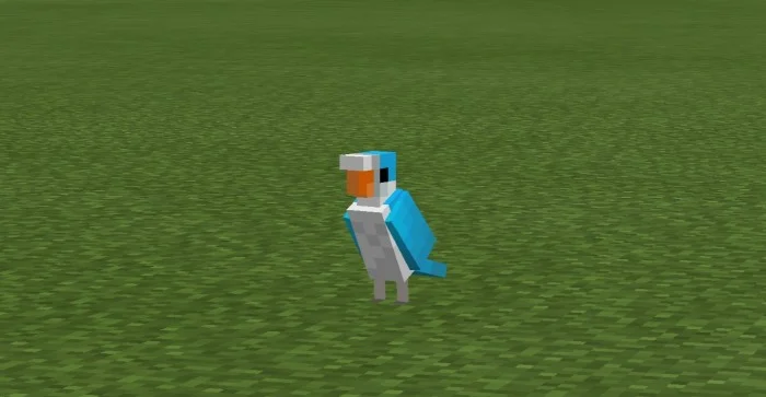 Better Parrots Minecraft screenshot 3