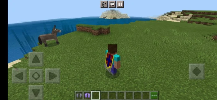 Better Cape and Elytra Minecraft screenshot 2