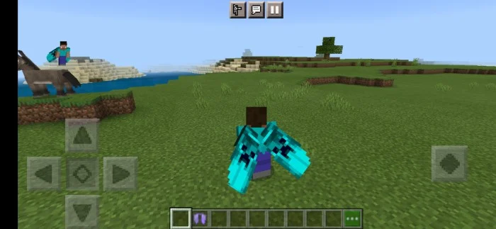 Better Cape and Elytra Minecraft screenshot 3