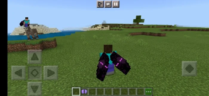 Better Cape and Elytra Minecraft screenshot 4