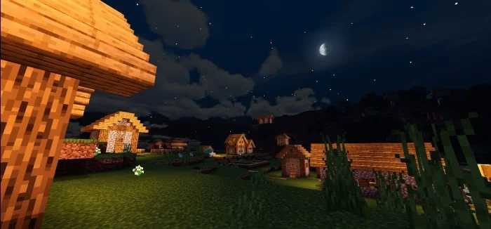 Ale Shaders Minecraft screenshot 2