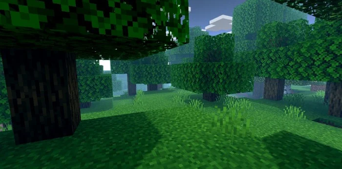 NZX Shader Minecraft screenshot 3