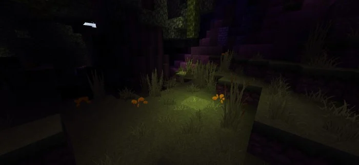 Haptic Shader Minecraft screenshot 6