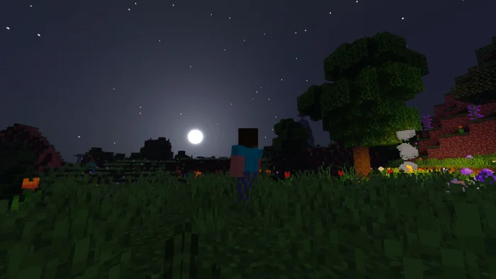Zebra Shaders PE Minecraft screenshot 2