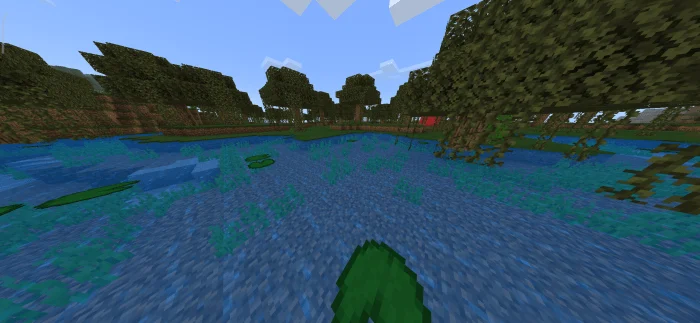 Beautiful Swamp Water Minecraft screenshot 1