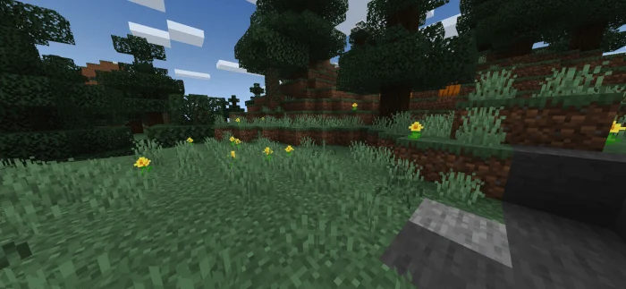VSBE Minecraft screenshot 3