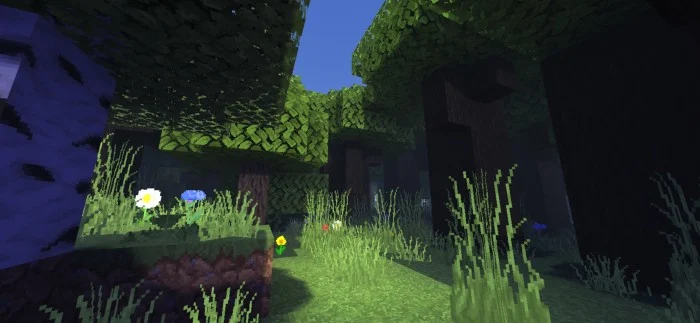 Enlight Shader Minecraft screenshot 2