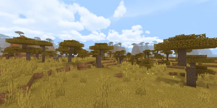 ENBS Minecraft screenshot 1