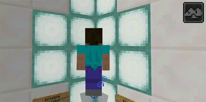 Simple Command Mansion (1.0.5 Only!) Minecraft map